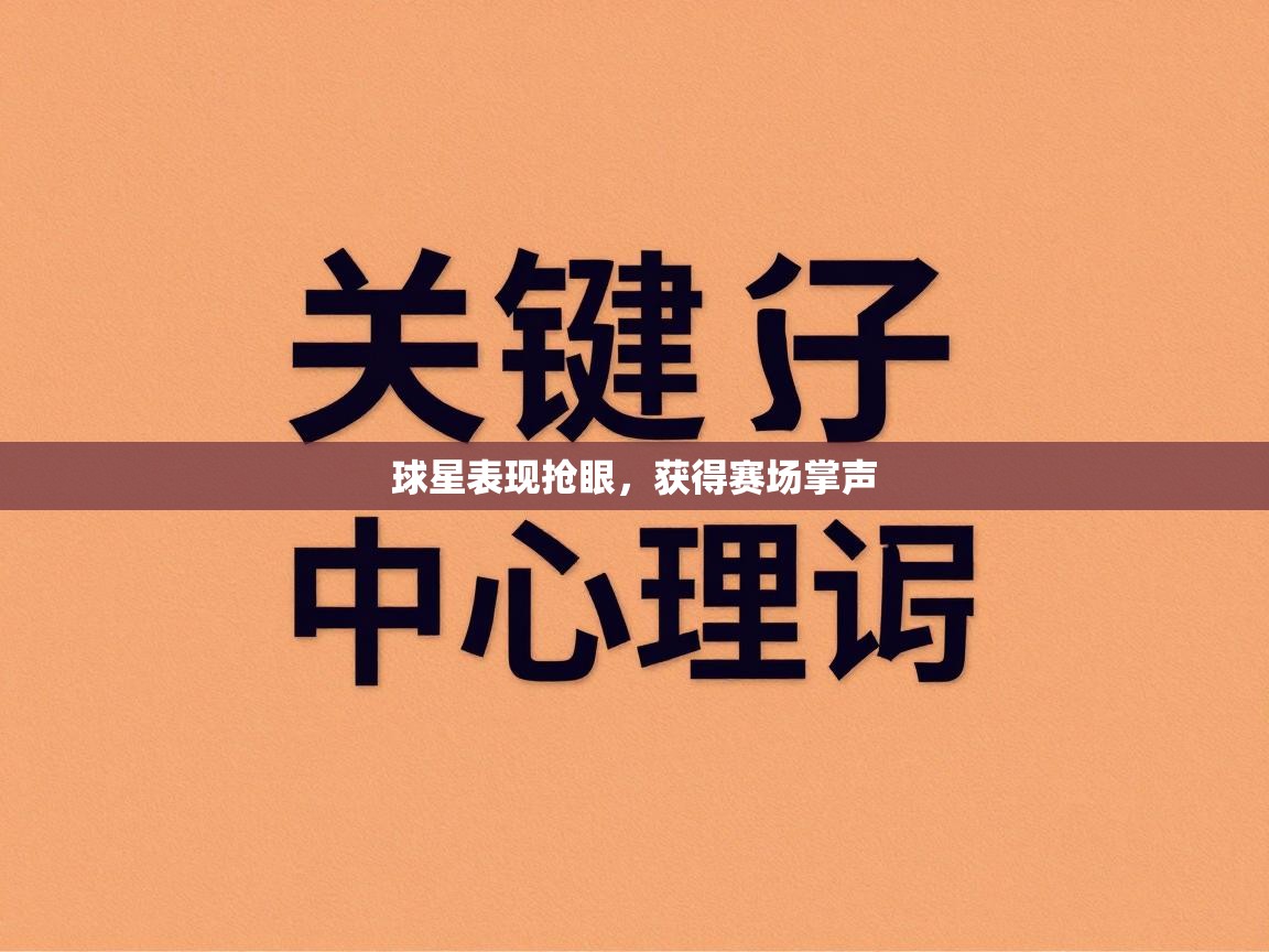 球星表现抢眼,获得赛场掌声