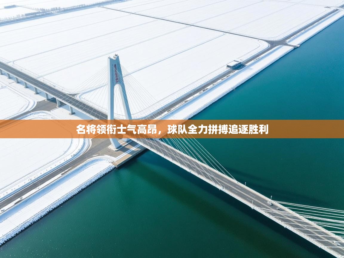 名将领衔士气高昂，球队全力拼搏追逐胜利  第1张